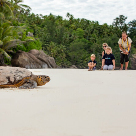 North Island I Seychellen-34