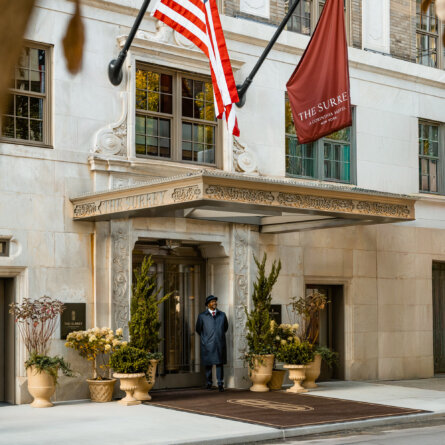 The Surrey I New York (2)