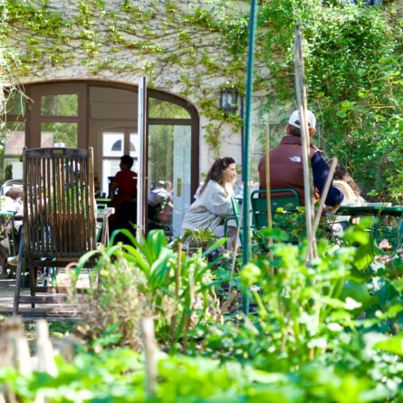 Garten Mitte Berlin-4