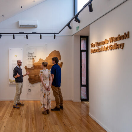 Grootbos Florilegium I The Hannarie Wenhold Botanical Art Gallery