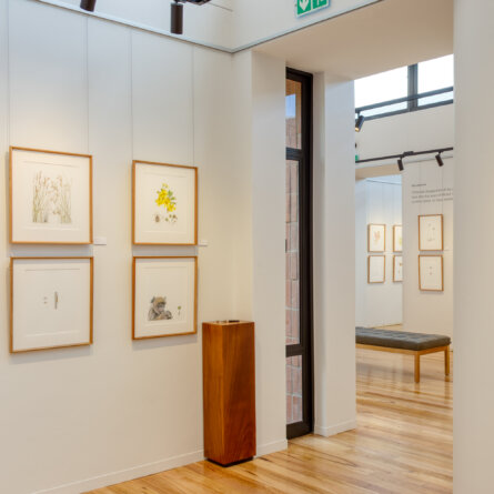 Grootbos Florilegium I The Hannarie Wenhold Botanical Art Gallery -1