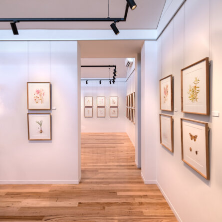 Grootbos Florilegium I The Hannarie Wenhold Botanical Art Gallery -4