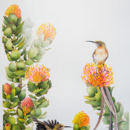 Grootbos Foundation-2