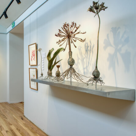Grootbos Foundation-3