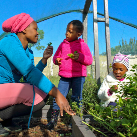 Grootbos Foundation I Early Childhood Development