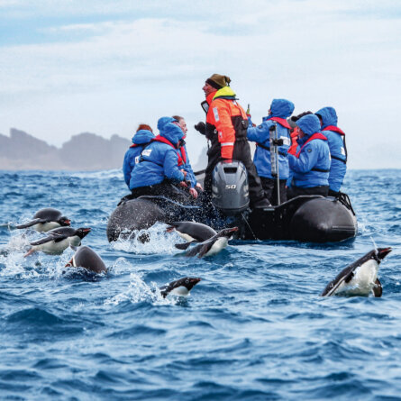 Hapag Lloyd Antarktis Expediotion-2