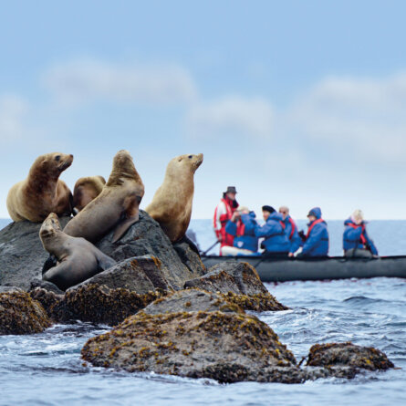 Hapag Lloyd Antarktis Expediotion-20