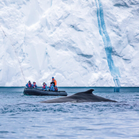 Hapag Lloyd Antarktis Expediotion-4