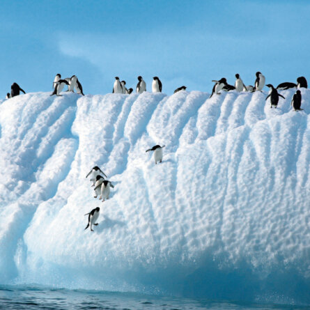 Hapag Lloyd Antarktis Expediotion-7