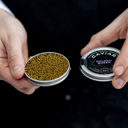 Pearlossol Kaviarbar ©Volker Renner-2