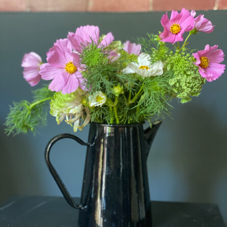 Blumen ©Nikolas Feireis-4