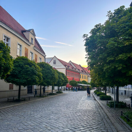 Dominsel Breslau  ©Jttka Zimmermann