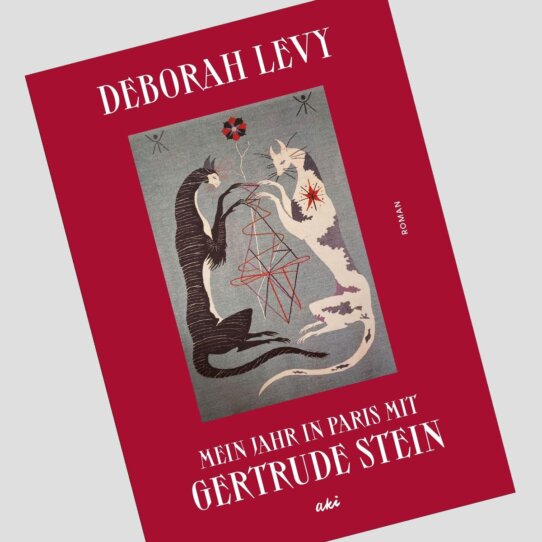 mein-jahr-mit-gertrude-stein-deborah-levy