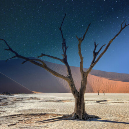 Namib Wüste-2