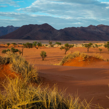 Namib Wüste-5