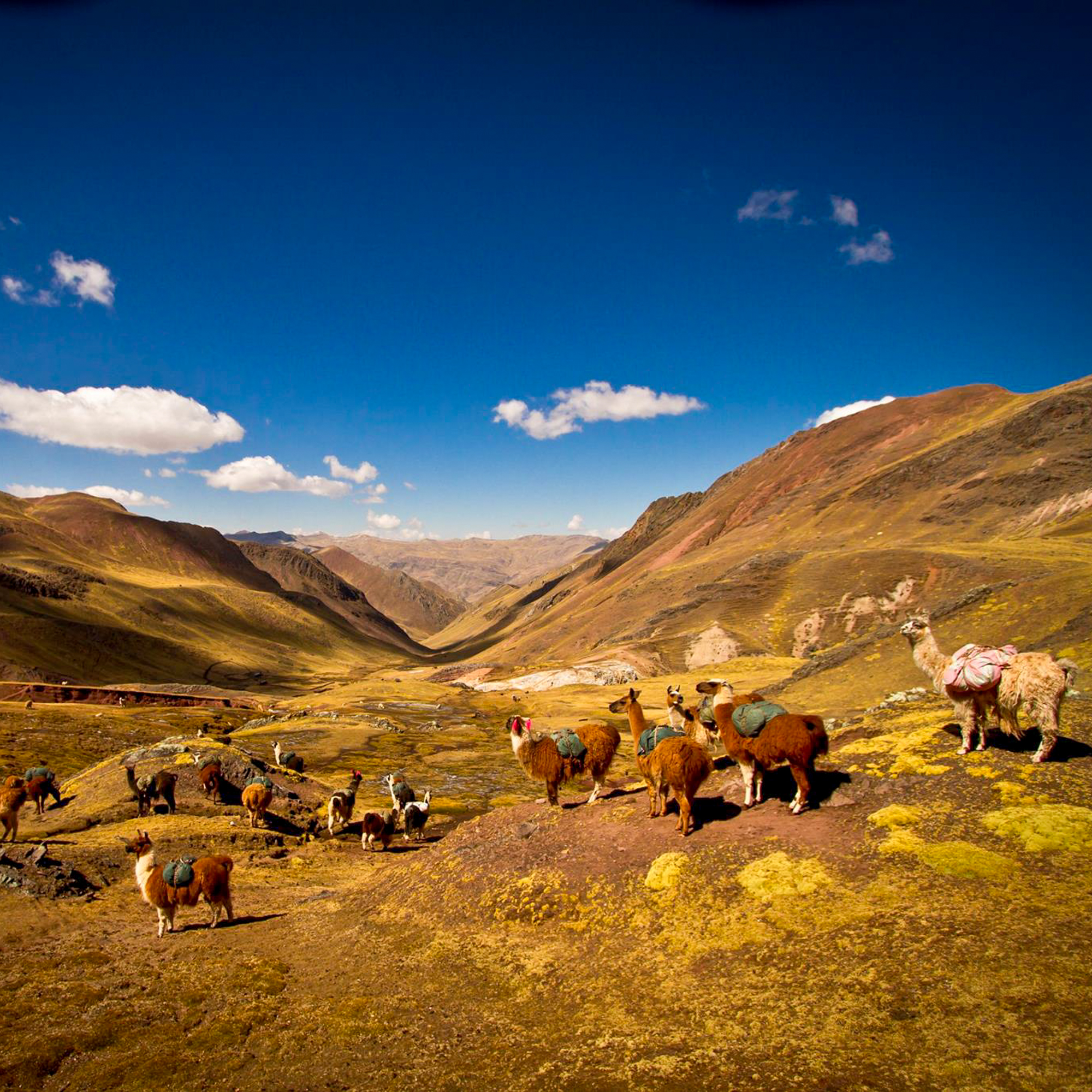 Peru-2