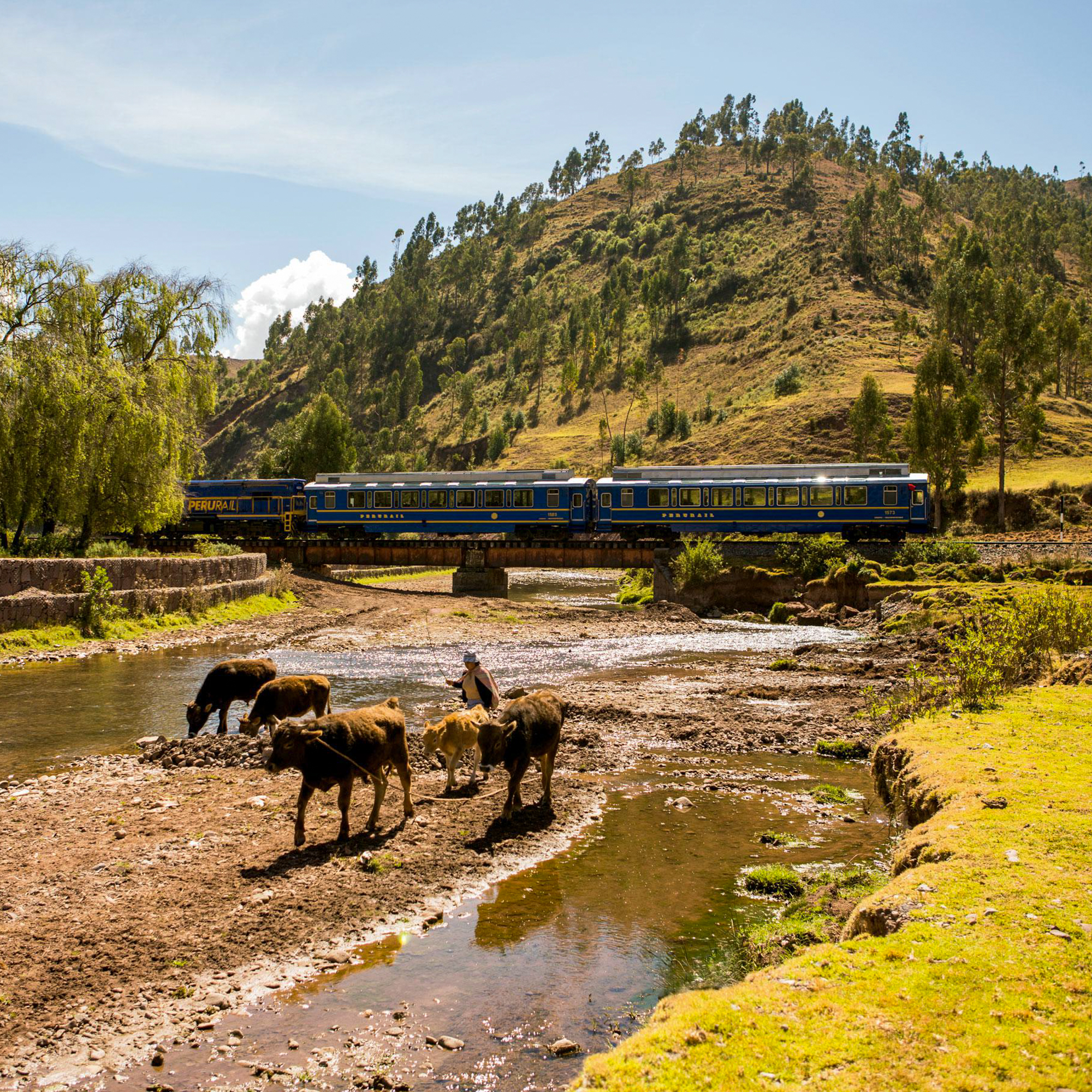 PeruRail Trains-1
