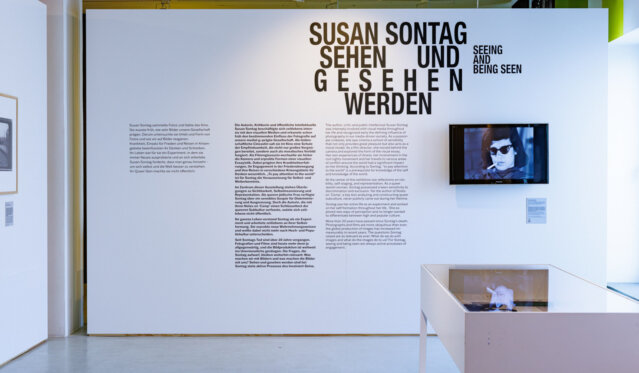 susan-sontag-copyrightpatricia-sevilla-ciordia