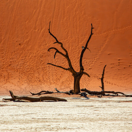 Namib Wüste Namibia
