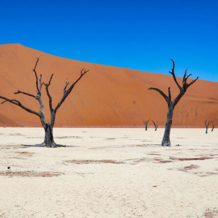 Namib Wüste Namibia-3
