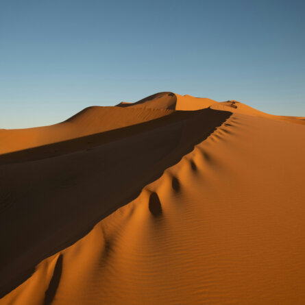 Namib Wüste Namibia-4