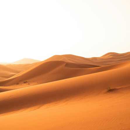 Namib Wüste Namibia-5