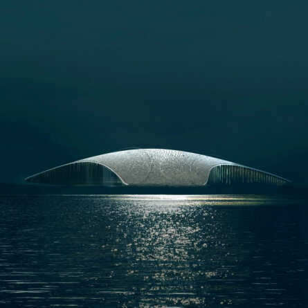 The Whale-2-2