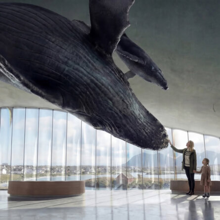 The Whale-3
