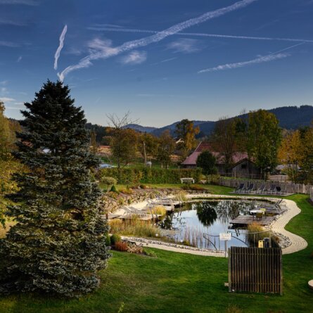 © Hotel Lindenwirt,Tiziano Scaffai-19