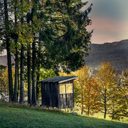 © Hotel Lindenwirt,Tiziano Scaffai-20