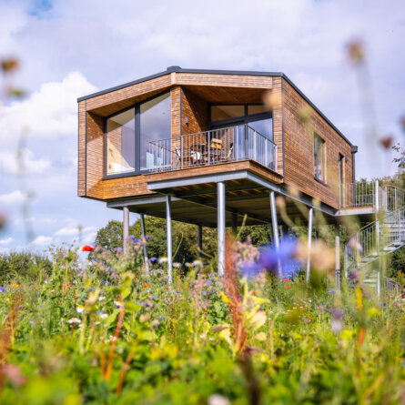 Ostsee Baumhaushotel in Schleswig-Holstein-8