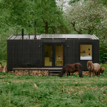 RAUS Cabins © Noel Richter-5