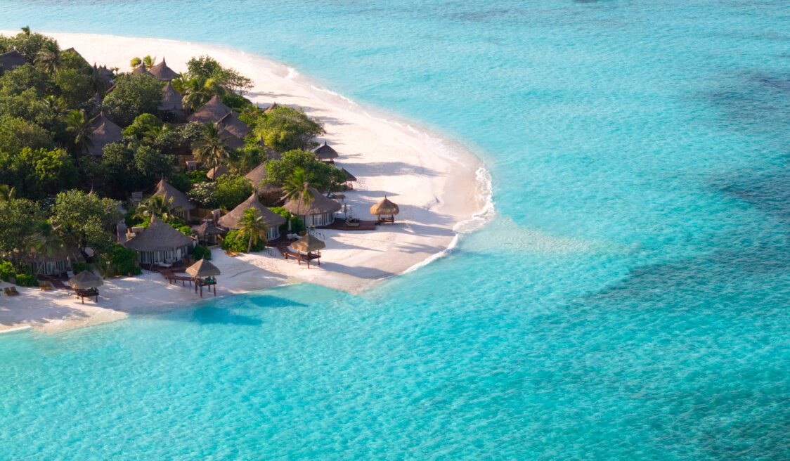 Banyan Tree_Drone (3)