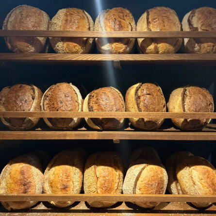 Windisch Bäckerei Hamburg-8