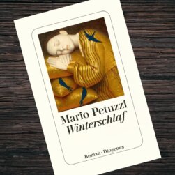winterschlaf-von-mario-petuzzi-