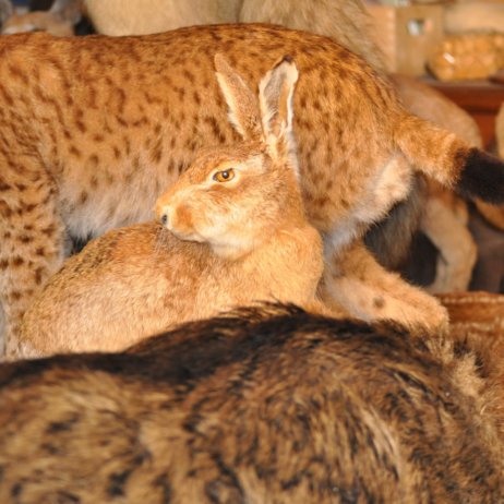 Michael-Weiss-Markelstraße-Berlin-Requisiten-3