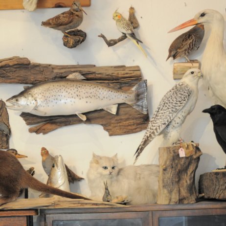 Michael-Weiss-Markelstraße-Berlin-Requisiten-5