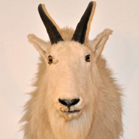 Michael-Weiss-Markelstraße-Berlin-Requisiten-6