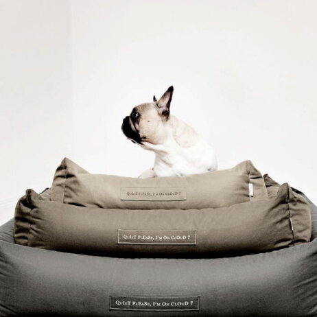 cloud-7-hundeaccessoires-3