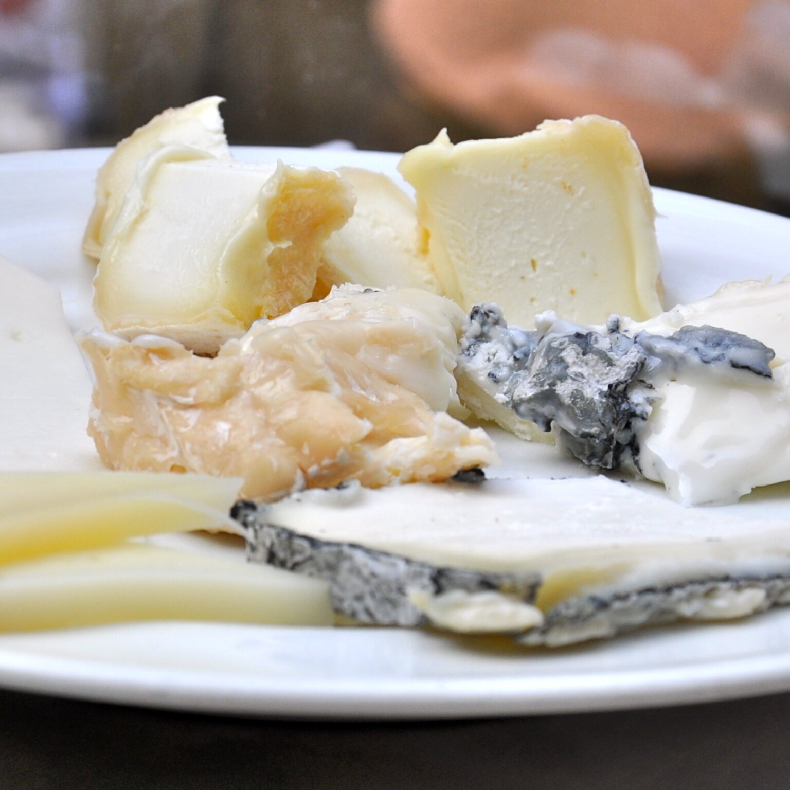 Blomeyers-Kaese-Berlin-Coledampfs-Freitags