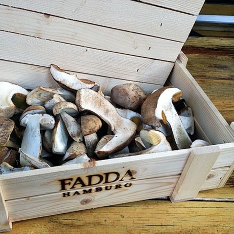 Fadda-Italiener-Restaurant-Pilse