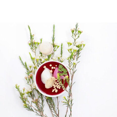 Kuechenwerkstatt-Uhlenhorst-vorspeise