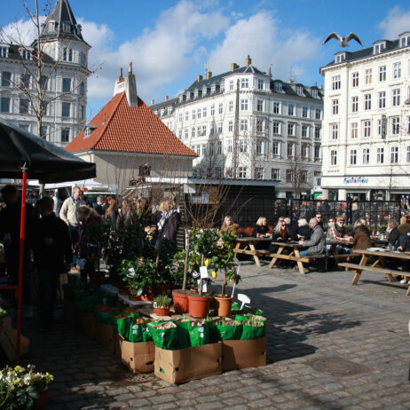 Palæo-creme-copenhagen-6