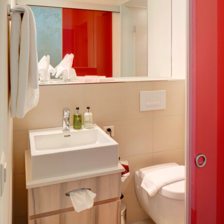 Platzhirsch-Hotel-Zuerich-7