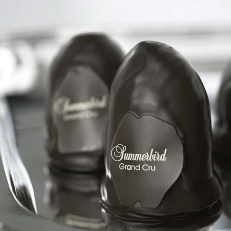 297905_246660822049782_103185926_n