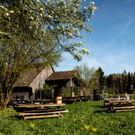 Chaesalp-Gasthof-Garten-Zuerich-6