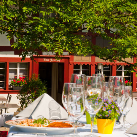 Todelhof-Gasthof-Garten-Zuerich-4