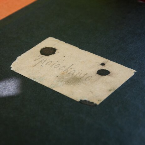 Alte Schule Restaurant Reichenwalde Umland Berlin Speisekarte