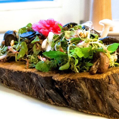 Mio Matto Veganes Restaurant Berlin Salat