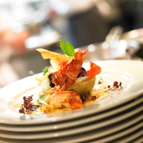 Restaurant Schwarzes Kameel Wien Hummer